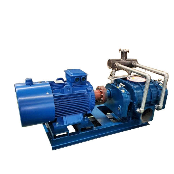 Vacuum Pump