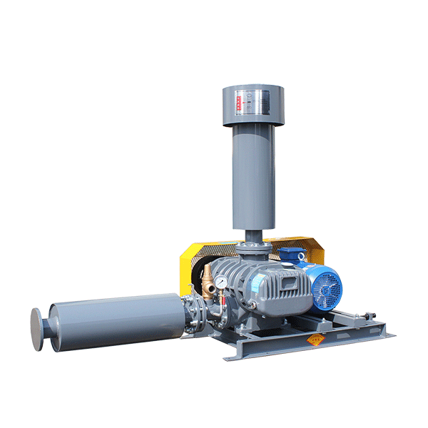 roots blower vacuum pumps