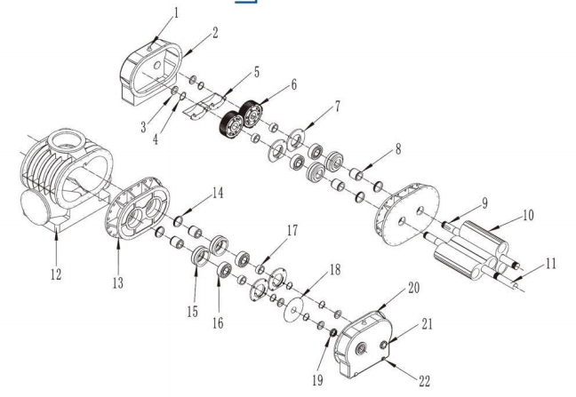 two-lobe roots blower Structure diagram